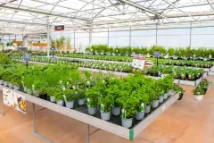 Jardins-Delacour-Rosieres-aux-Salines-28