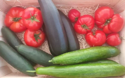 Pourquoi privilégier les légumes frais à Dombasle-sur-Meurthe pour une alimentation saine ?