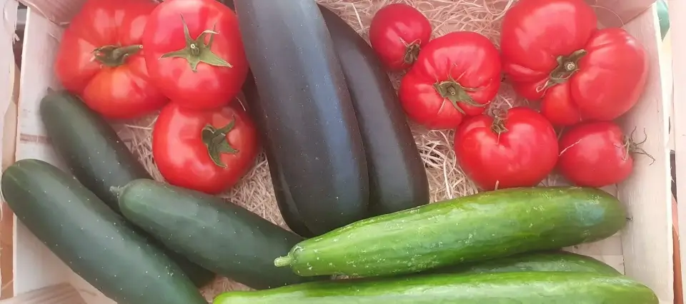 Maraîchage à Dombasle-sur-Meurthe : produits frais et locaux