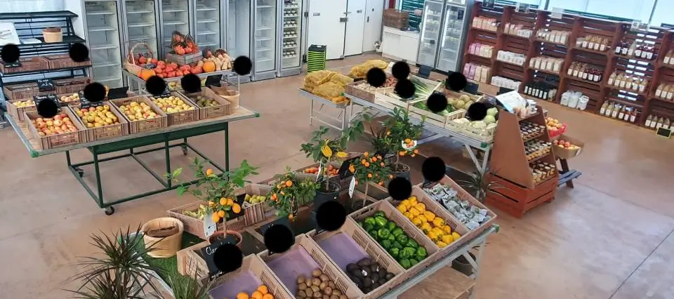 Maraîchage à Dombasle-sur-Meurthe : produits frais et locaux