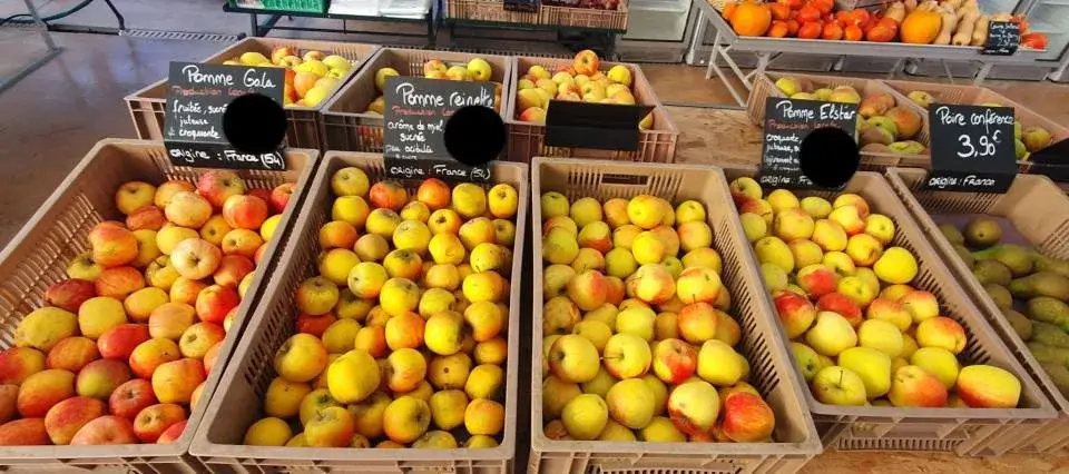 Maraîchage à Dombasle-sur-Meurthe : produits frais et locaux