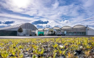 Jardins Delacour, maraîcher à Dombasle-sur-Meurthe : une agriculture raisonnée au service de la qualité