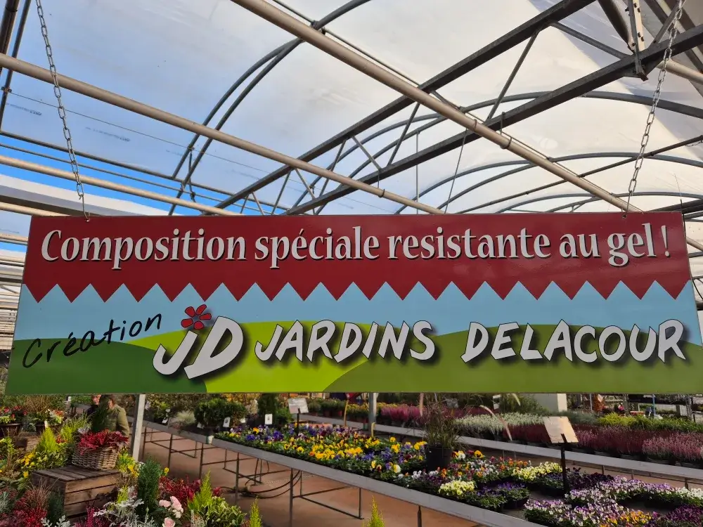 20251018_153828 454266771_1027999639330276_5300192780435271699_n