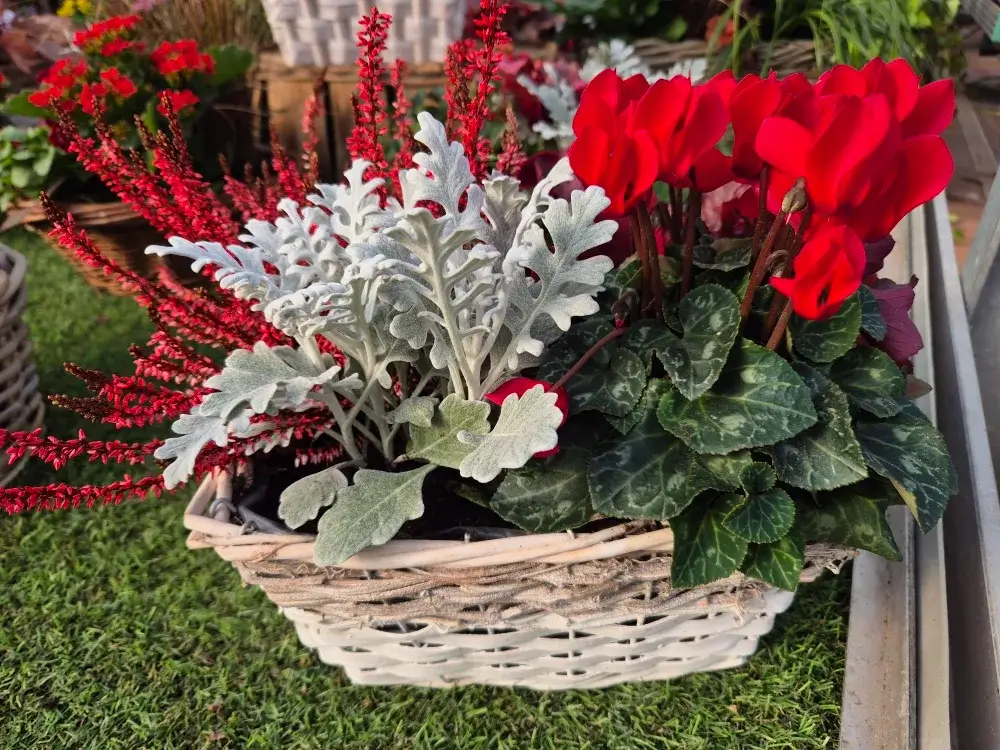 20251018_153912 454266771_1027999639330276_5300192780435271699_n