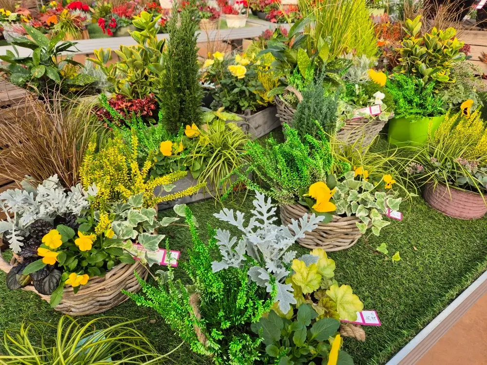 Plantes de pépinière à Dombasle-sur-Meurthe : des plantes variées et de qualité